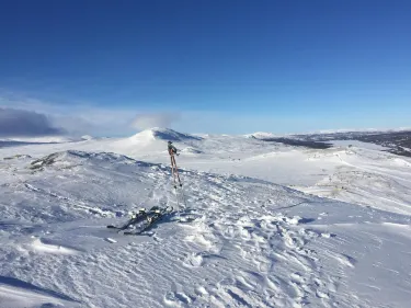 Tanndalen