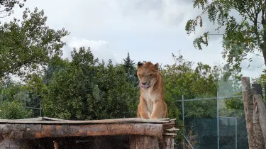 Zoo d'Abruzzo