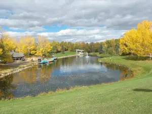 Bower Ponds