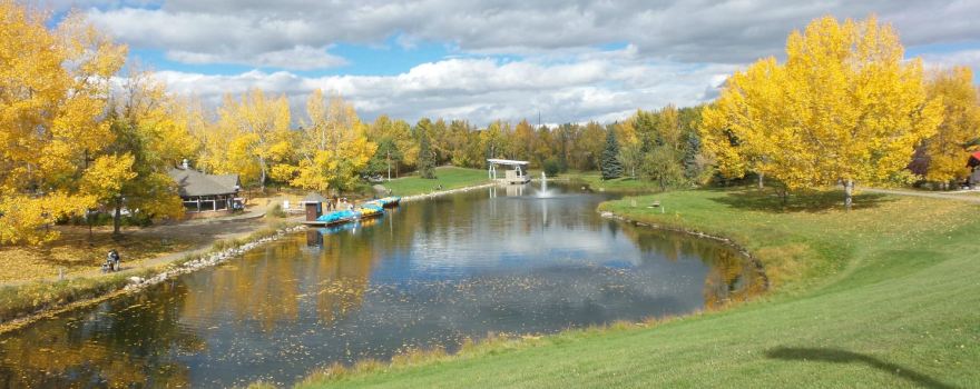 Bower Ponds