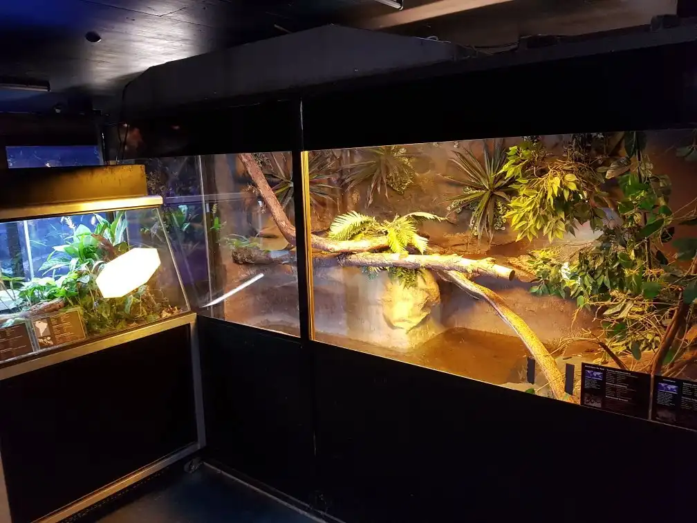Hotels in der Nähe von Vivarium de Meyrin