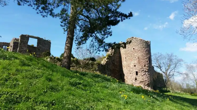 Hotels in Bridstow