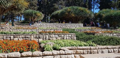 Ramat Hanadiv