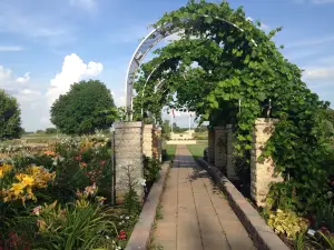 Beausejour Daylily Gardens