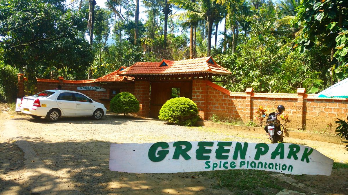Green Park Spices plantation