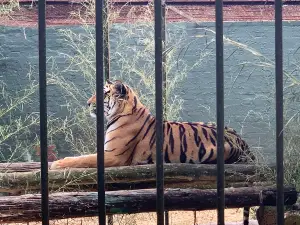 Natal Zoological Gardens