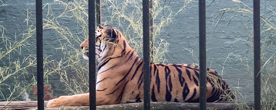 Natal Zoological Gardens