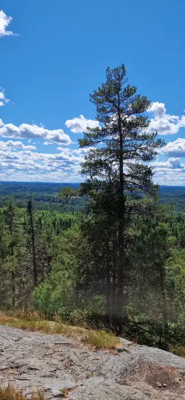 Hotels in Eksjo Municipality