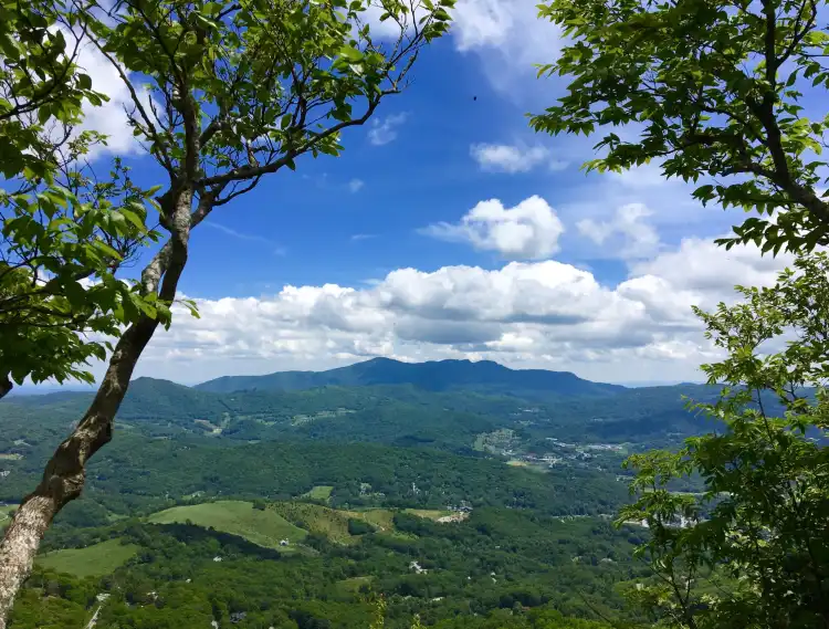 Beech Mountain