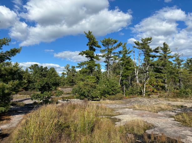 Huckleberry Rock Lookout Trail
