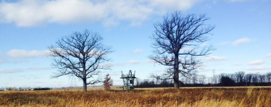 Glacier Ridge Metro Park