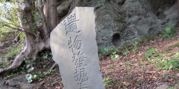 Kinugasa Castle