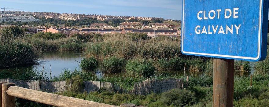 el Gran Alacant