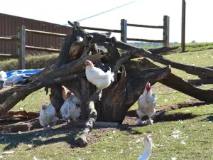 Ferme Pedagogique de Woimbey