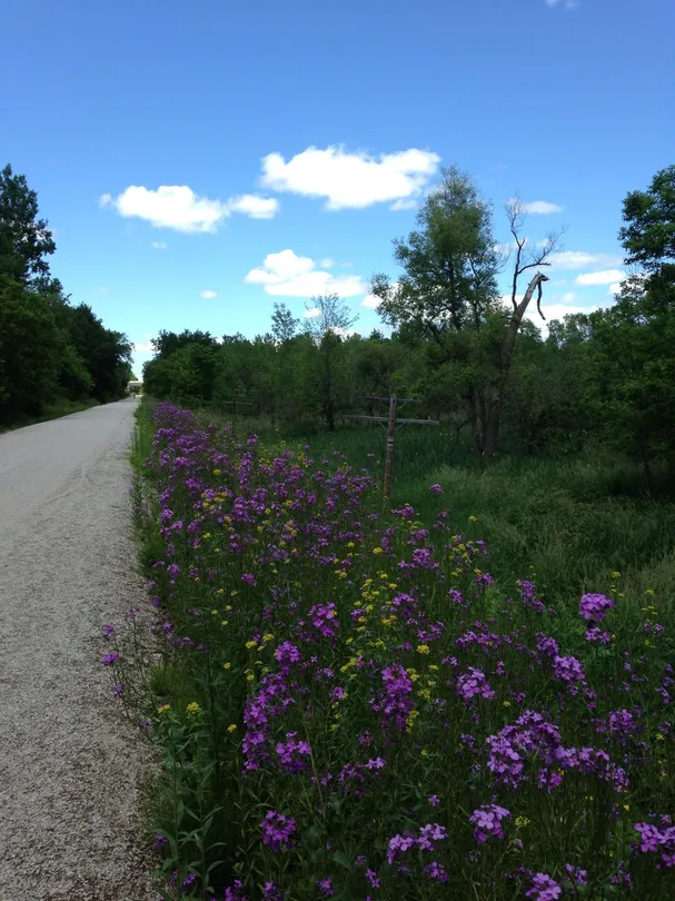 4_Devil's River State Recreation Trailhead
