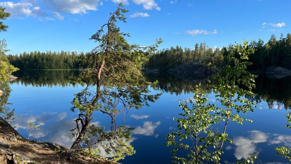Astuvansalmi rock paintings