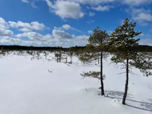 Torronsuo National Park