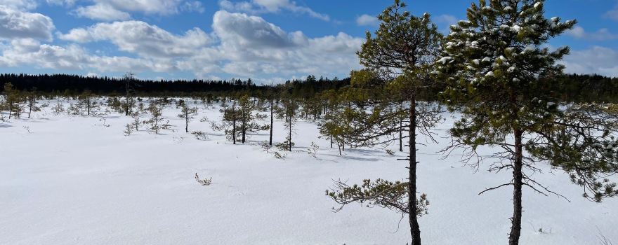 Torronsuo National Park