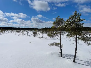 Torronsuo National Park