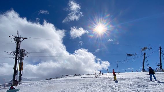 Borovets