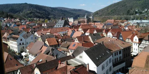 Bayersturm