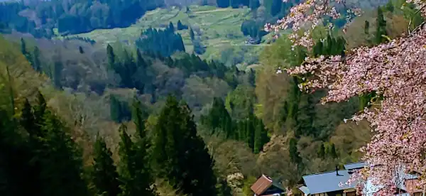 小川村のホテル