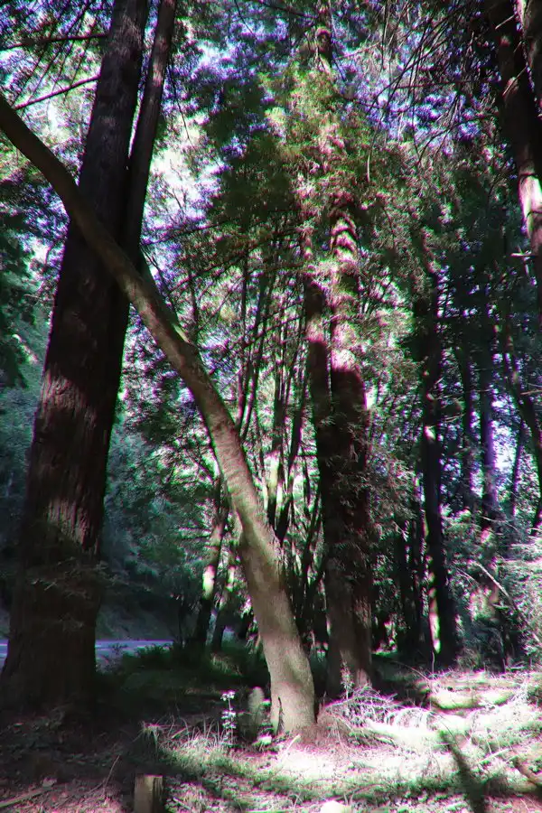 나바로 리버 레드우즈 주립공원 주변 호텔