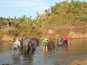 Wingabaw Elephant Camp
