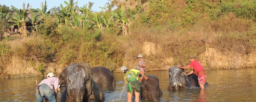Wingabaw Elephant Camp