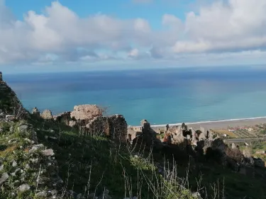Cirella