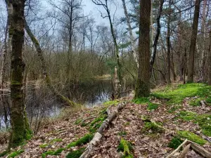 De Leemputten
