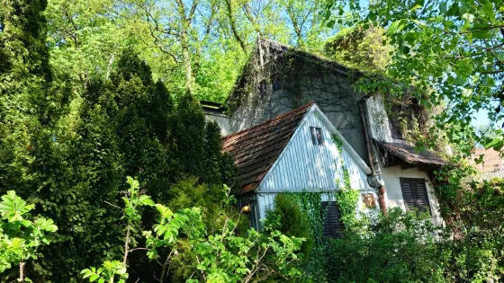 The House of the Syroks