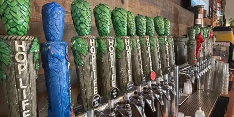 Hop Life Brewing