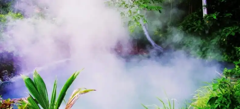 Hotels in Malalayang