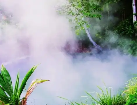 Hotels in Malalayang