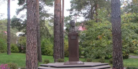 Bust of Bogolyubov