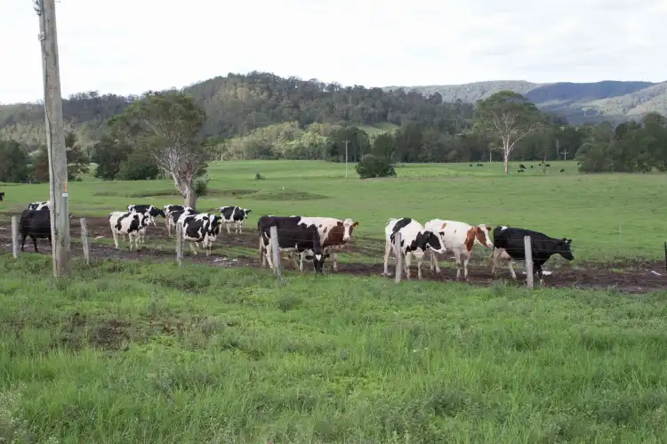 Hotels in Dungog