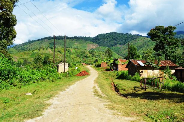 Rwenzori Mountains