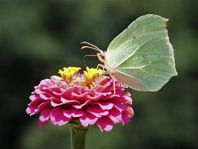 Hôtels à : Ginestet