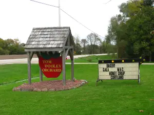Tom Dooley Apple Orchard