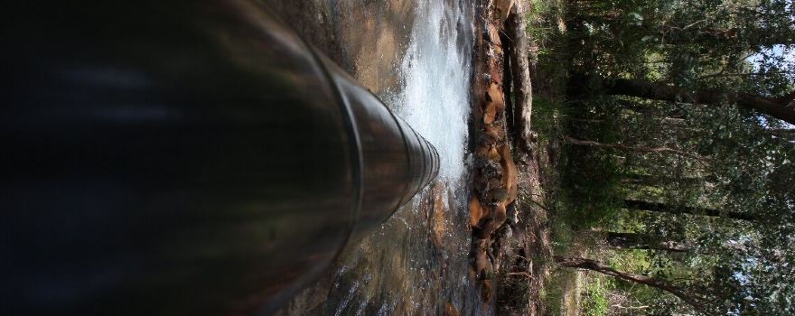 Wungong Regional Park