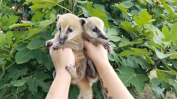 Janda Exotics Animal Ranch