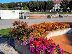 Parque Urbano Comendador João Martins