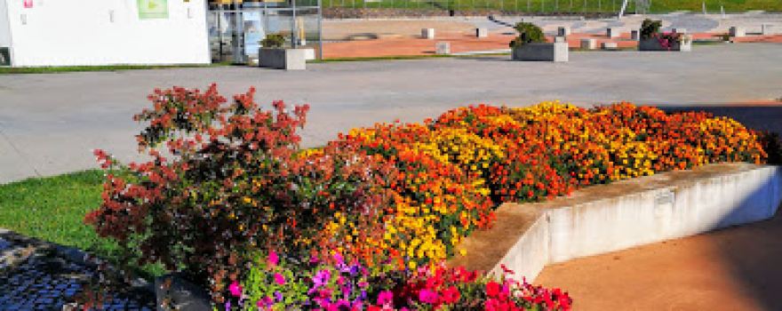 Parque Urbano Comendador João Martins