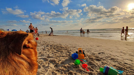 Hapirza gap Coast beach