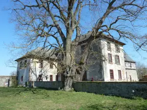 Schloss Homberg (Ohm)