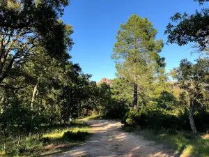 Argens