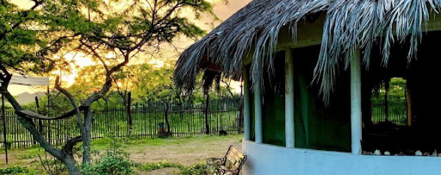 Palo Santo Sanctuary