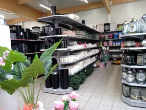 Zielona Galeria