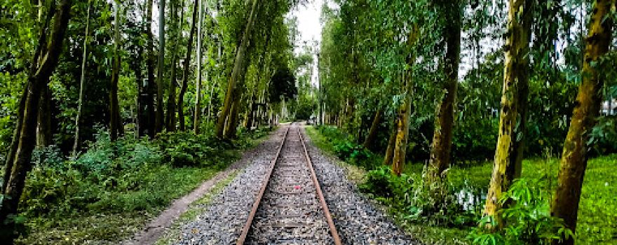 Kurigram Railway Station platform Mosque